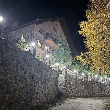 Pensiunea Joe Păltiniş Exteriér fotografie