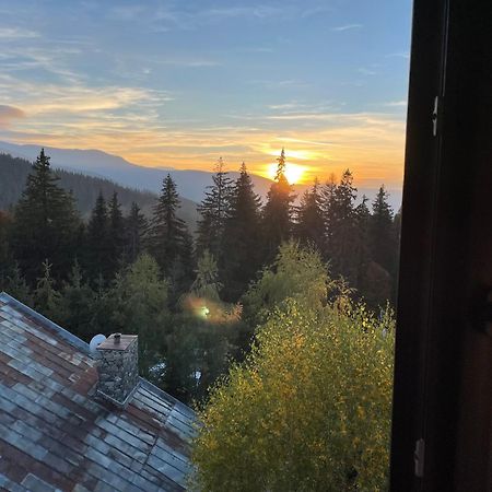Pensiunea Joe Păltiniş Exteriér fotografie