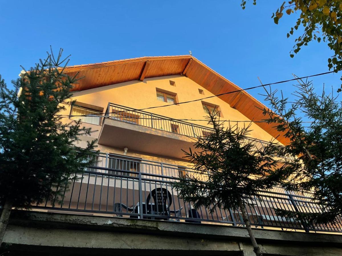 Pensiunea Joe Păltiniş Exteriér fotografie