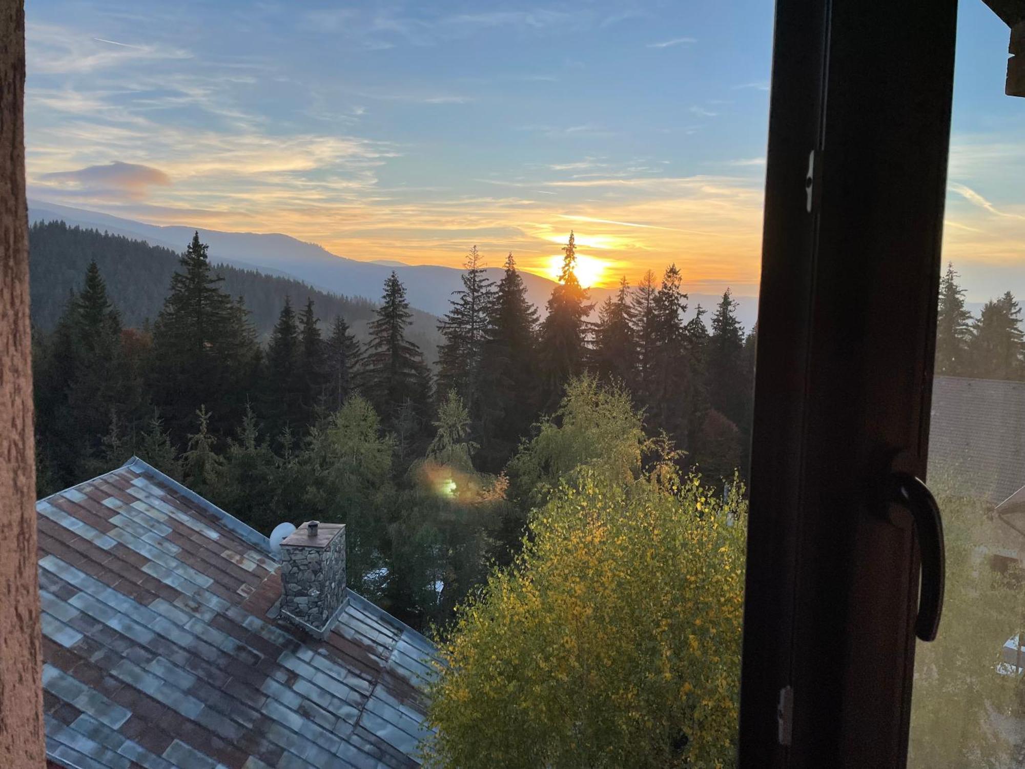 Pensiunea Joe Păltiniş Exteriér fotografie